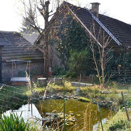 Ferienwohnung Blockheide 格明德 外观 照片